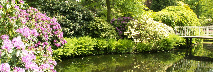 Trompenburg Tuinen en Arboretum 