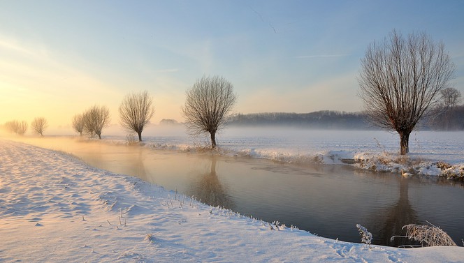 Hartje Winter Arrangement