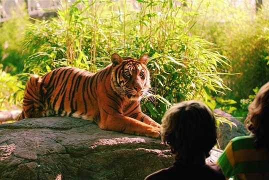 Blijdorp Zoo