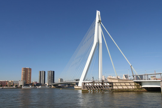 Erasmus Bridge Rotterdam