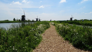 Kinderdijk